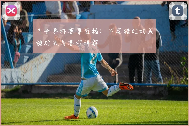年世界杯赛事直播：不容错过的关键对决与赛程详解
